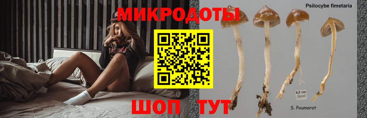 Псилоцибиновые грибы MAGIC MUSHROOMS  Вход с VPN  Рязань  Галлюциногенные грибы Psilocybe 